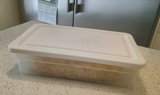 A rectangular container with a white lid sits on a countertop, and there's a slight curve to the lid where the dough is pushing to escape