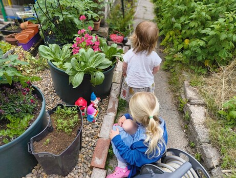 Two small children facing away from the camera, looking at flowers and vegetables in their garden,