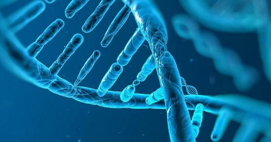 Researchers develop tool to improve genetic predictions