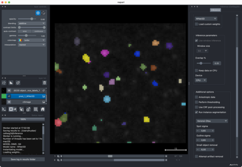 CellSeg_3D segmentation and applied parameters