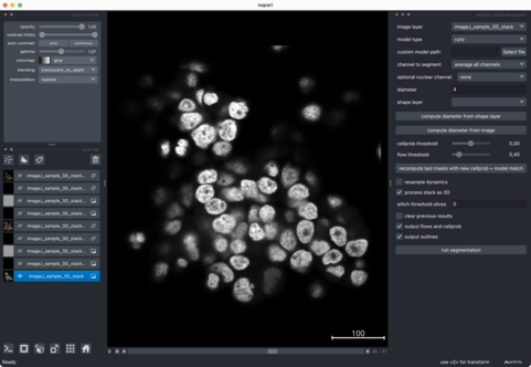 Raw image (3D)