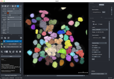 CellSeg_3D post-hoc instant segmentation and applied parameters