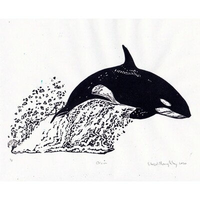 My linocut orca whale is leaping out of the water leaving a trail of splashed droplets of water from the sea surface. It’s printed in black on white paper.