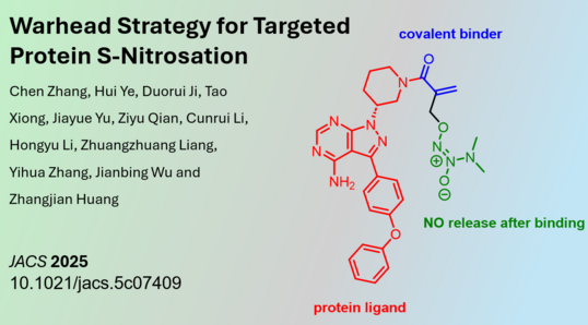 Warhead Strategy for Targeted Protein S‑Nitrosation 
Chen Zhang, Hui Ye, Duorui Ji, Tao Xiong, Jiayue Yu, Ziyu Qian, Cunrui Li, Hongyu Li, Zhuangzhuang Liang, Yihua Zhang, Jianbing Wu and Zhangjian Huang
JACS 2025
10.1021/jacs.5c07409