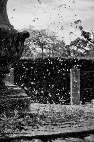 A dramatic black and white close-up shot of water splashing from an old stone fountain. Numerous water droplets are frozen mid-air against a soft, out-of-focus background of trees and foliage, creating a dynamic and textured scene. The lower part of the ornate fountain is visible on the left, with water cascading and bubbling around its base.
