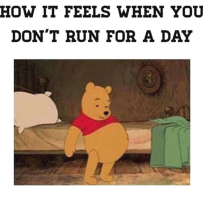 Fat belly bear 🐻