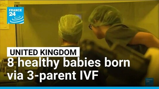 8 healthy babies born after IVF using DNA from 3 people • FRANCE 24 English