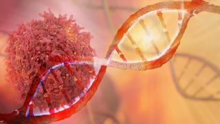 Quebec's Hereditary Cancer Gene Linked to One Ancestor
