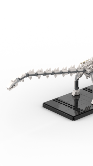 A medium sized sauropod, with an average length neck