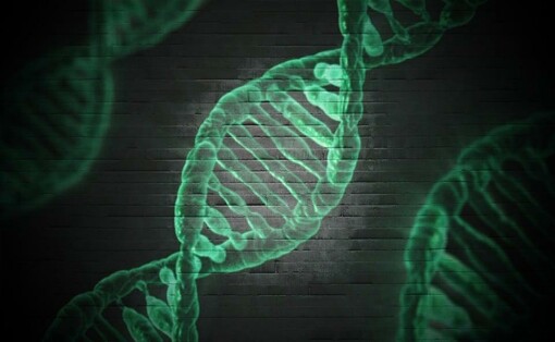 Ever-Growing Incisors Reveal Genetic Disease Insights