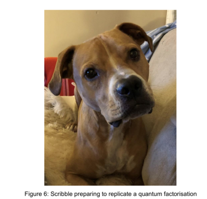 Scribble the dog preparing to replicate a quantum factorisation