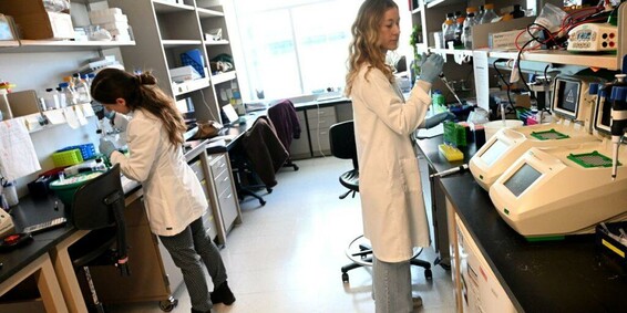 'Devastating' Trump Cuts to FDA, NIH Will Result in Fewer Medications, New Analysis Warns