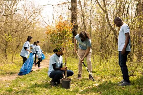 Greece’s Voluntourism Movement: Why Giving Back Is The Ultimate Luxury Experience