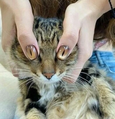 Cat with fingernails for eyes.