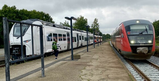 Shot showing all three generations of this railroads rolling stock. The brand new and still white battery train. The 60yr old diesel and the less old Siemens Desiro diesel.