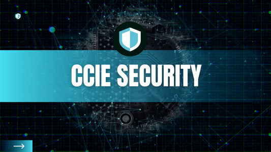 Understanding Quantum-Resistant Cryptography Roadmaps | Chapters