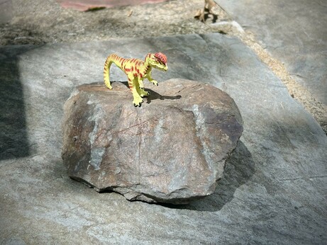 A green Dilophosaurus with brown spots stands atop a large red and slate coloured rock. Both are on a light grey/slate coloured flagstone.