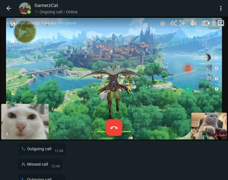 A screenshot of the screen sharing feature