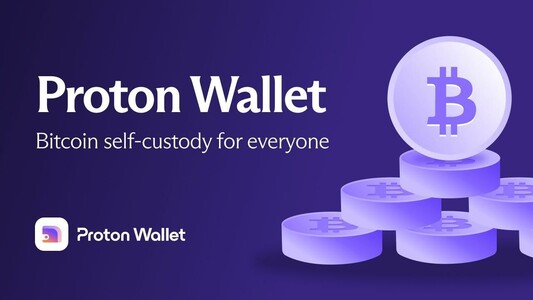 A promotional banner for Proton Wallet. The background is a dark purple gradient. On the left side, white text reads: “Proton Wallet – Bitcoin self-custody for everyone.” Below that is the Proton Wallet logo and name. On the right side, a stack of stylized Bitcoin coins in light purple is illustrated, with the Bitcoin symbol (₿) visible on each coin.
