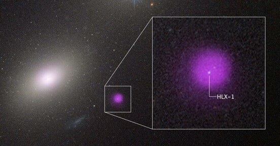 Scientists Spot an Exceptionally Rare 'Intermediate' Black Hole Eating a Star