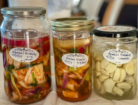 The fermentation table contains 2 jars of fennel kimchi and 1 jar of garlic cloves (7 heads thereof), with crooked labels on the jars.
