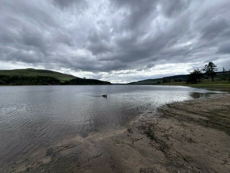 The reservoir at 9 this morning. With a Collie taking his much deserved swim and under a darkening sky
