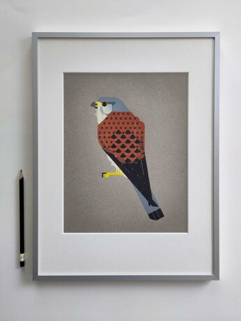 Foto van een ingelijste Torenvalk prent. Gestileerde prent van een torenvalk, gedrukt op grijs papier. De vogel zit met de rug naar ons toe gekeerd en kijkt naar links. De kop is grijs met lichte wangen en een wat donkerder streep onder het oog. De rug is roodbruin met zwarte stippen. De vleugelpunten zijn zwart, lopen spits toe en liggen net nog gekruist over de grijze staart die ook weer uitloopt in zwart. De lijst heeft een dunne rand van mat aluminium. Er ligt een potlood naast ter indicatie van de schaal.