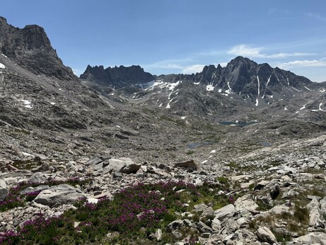 Indian Basin, a less-traveled area adjacent to Titcomb Basin. Purple wildflower in the foreground with small alpine lakes and some remaining snow