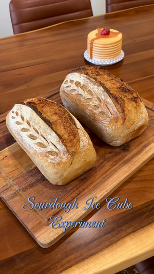 Sourdough Ice Cube Experiment 🍞🧊