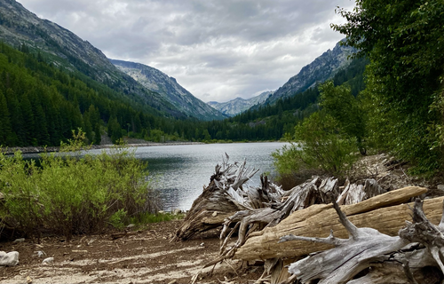 On the right, driftwood has gathered, a trail behind. On the left, behind brush, a placid lake fills a narrow valley with mountains flanking it, more mountains in the distance. The sky is gray, the clouds illuminated.
