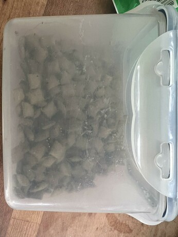 A sealed container now houses them - or what is left