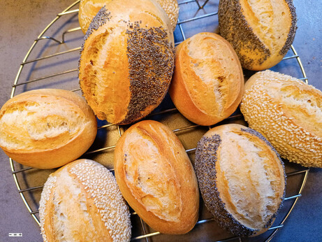 Frischgebackene knusprige Brötchen, manche mit Sesam oder Mohn, liegen zum Abkühlen auf einem Gitter.