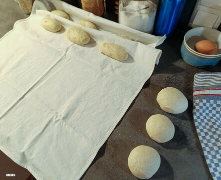 Der Teig wird portioniert, dann werden die Teiglinge rundgeschliffen und auf Spannung gebracht. Nach einer kurzen Ruhe werden sie langgestoßen und bleiben 45 min. zur Stückgare im Bäckerleinen, während der Ofen aufheizt..