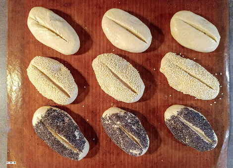 Neun Brötchen sind in Sesam bzw. Mohn gewälzt und eingeschnitten.Nun geht es in den Backofen.