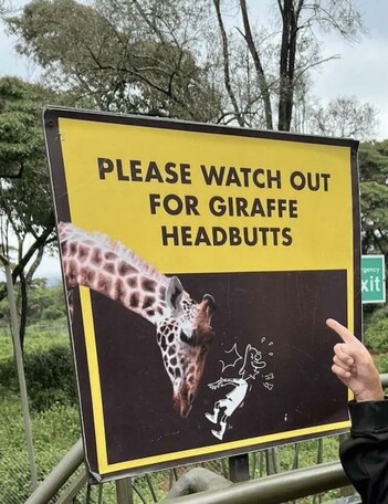 Sign - Please Watch Out For Giraffe Headbutts