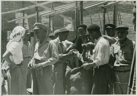 Gyaros Island of Exile - ICRC V-P-HIST-E-05828.JPG 13.05.1948 - Ghioura islland, penitentiary camp nr.4. Distribution of relief items.