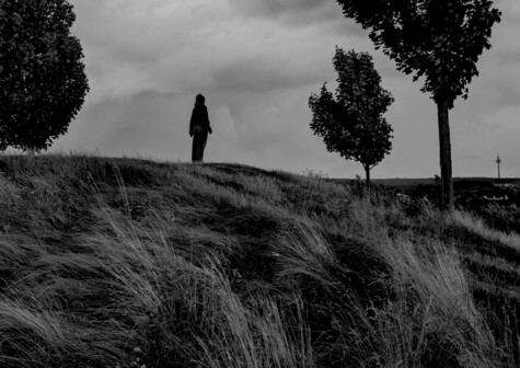 A person stands alone on a grassy hilltop under a cloudy sky, surrounded by three scattered trees. The scene is in black and white.

Eine Person steht allein auf einem grasbewachsenen Berg unter einem wolkigen Himmel, umgeben von drei verstreuten Baeumen. Die Szene ist schwarz-weiss.