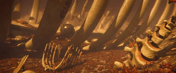 Wide shot, exterior, "day"

An immense ribcage claws its way out of the fleshy 'ground'.  Next to it, a wreck of some sort of airship was long ago used as an origin point for various pipes that extend along the spine and into the ground.