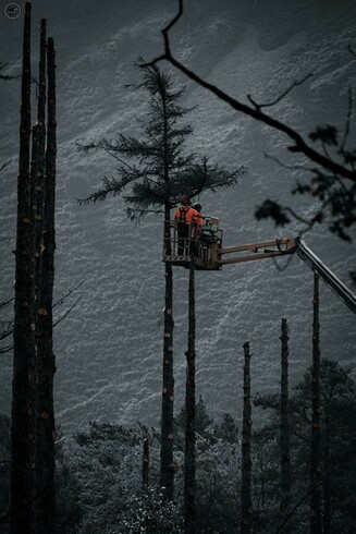 Workmen up cherry picker crane felling trees