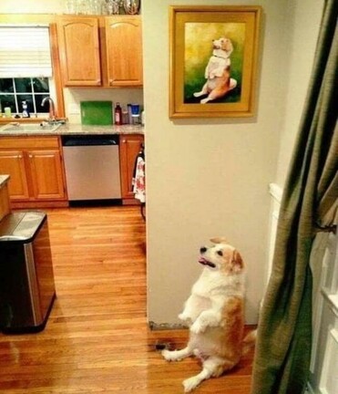 Dog and painting of said dog. They match.