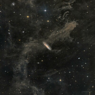 Portrait of galaxy behind dust clouds and local stars.