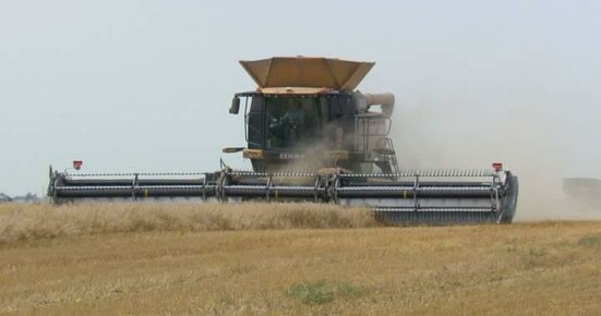 Inconsistent weather, tariffs loom over Manitoba’s harvest - Winnipeg