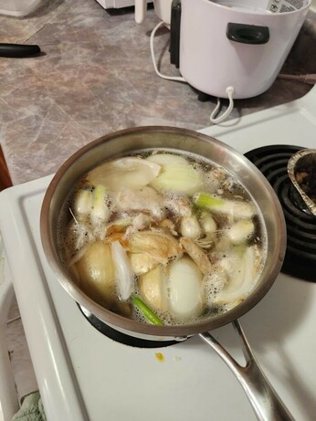 Made my first ever broth. Chicken bone broth with onion, gronion, and ginger.