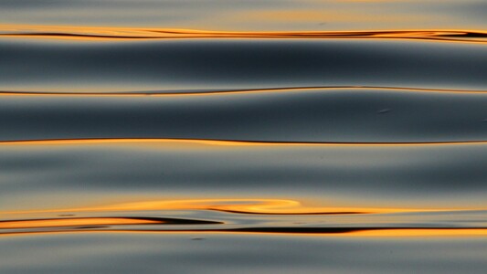 Photograph of yellow sunset light reflected off the top of smooth blue waves forming horizontal lines across the image.