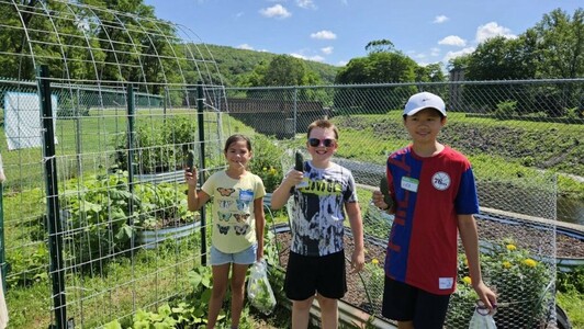 Country Gardeners work with kids, adults at community garden in Hawley