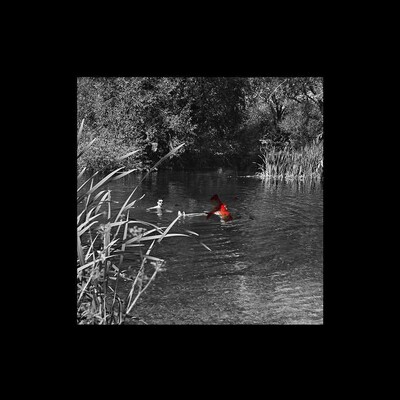 The cover for Aaron Lindh's Heroine single, showing a person  floating in a pond surrounded by trees and reeds. The person has been obscured by some red marker pen on the black and white photo.