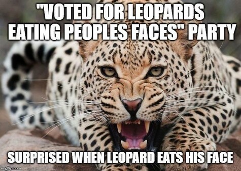 Image of leopard looking into the lens in attack mode. Text says “Voted for Leopards Eating Peoples Faces Party. Surprised when leopard eats his face”