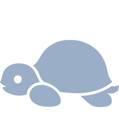 :tootoise: