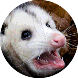 :scream_oppossum: