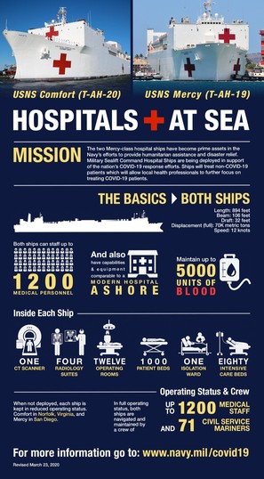 Hospital Ships - Infographic